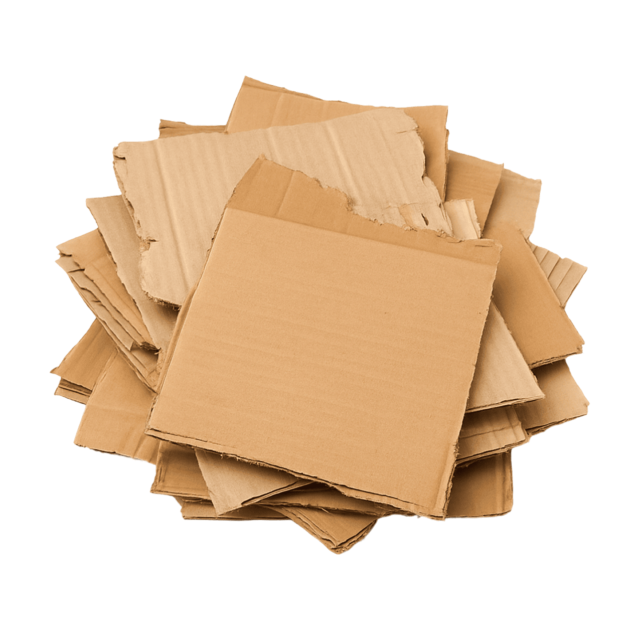 Carton